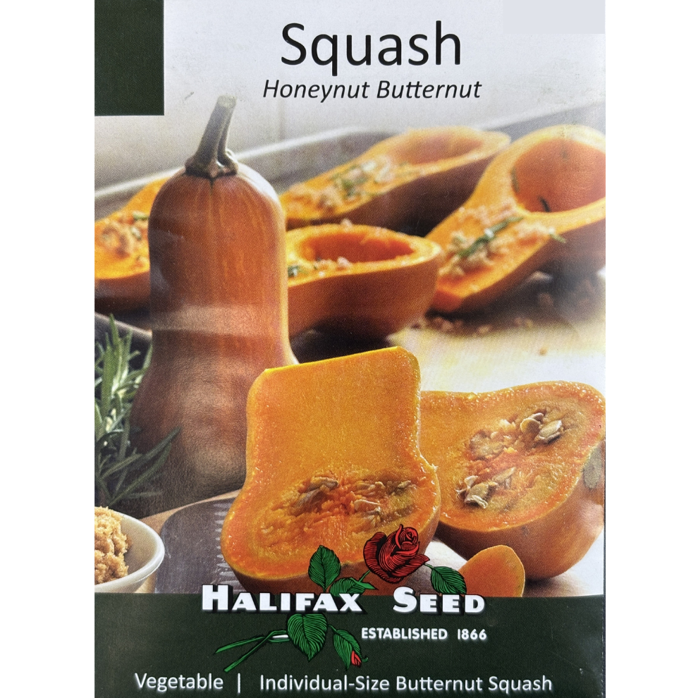 Halifax Seed Squash Honeynut Butternut Pkg.