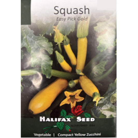 Halifax Seed Squash Easy Pick Gold Pkg.