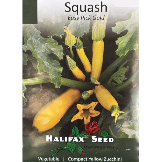 Halifax Seed Squash Easy Pick Gold Pkg.
