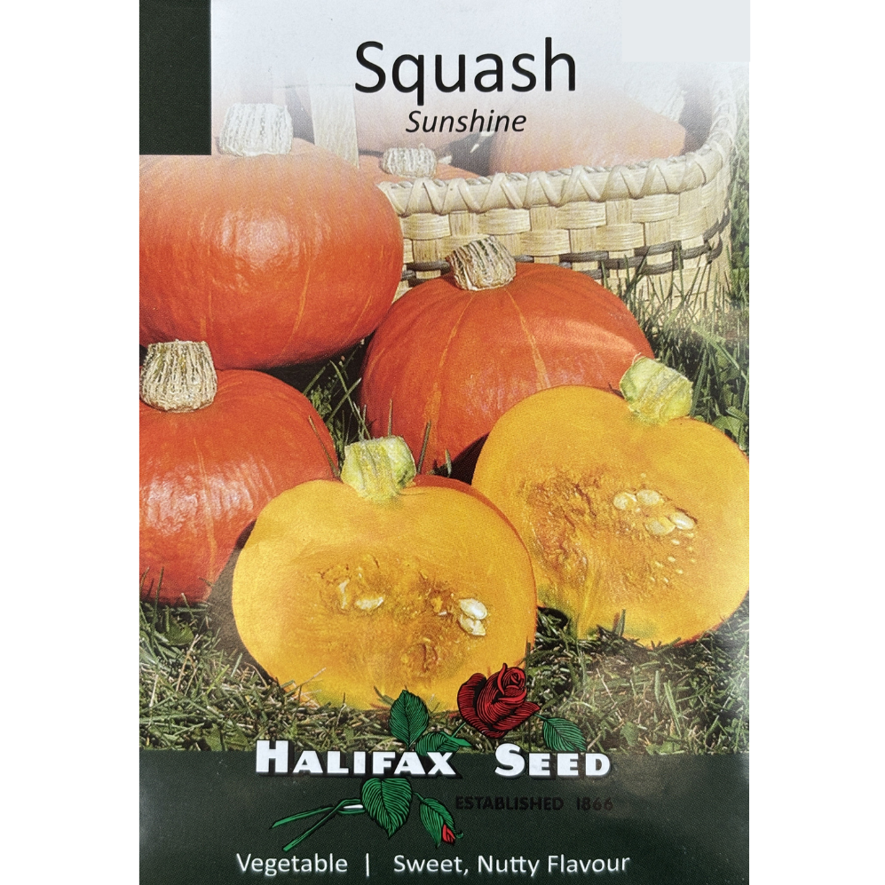 Halifax Seed Squash Sunshine Pkg.