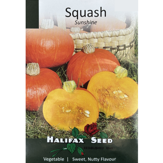 Halifax Seed Squash Sunshine Pkg.