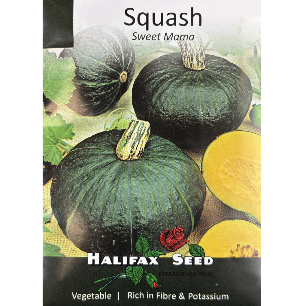 Halifax Seed Squash Sweet Mama