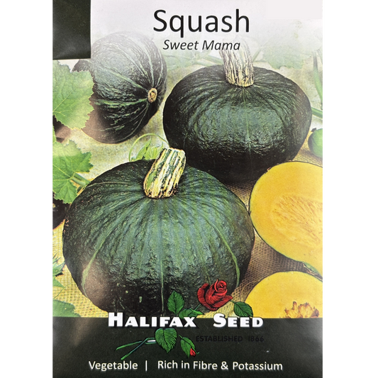 Halifax Seed Squash Sweet Mama