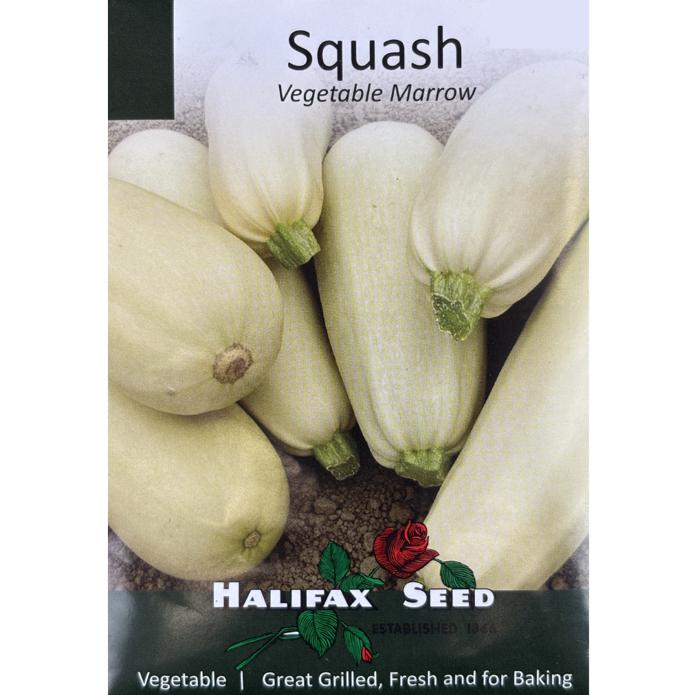 Halifax Seed Squash Vegetable Marrow