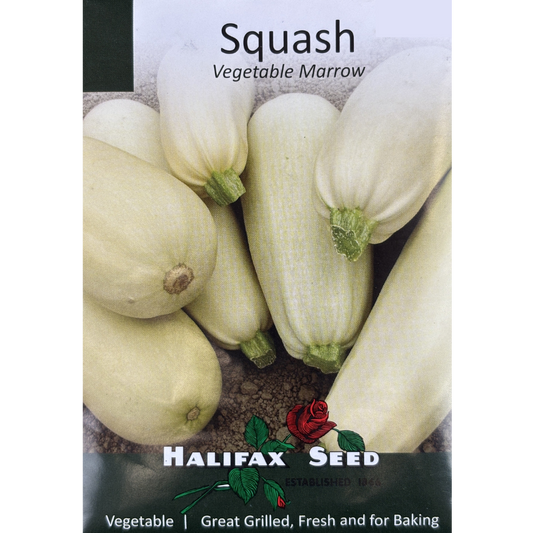 Halifax Seed Squash Vegetable Marrow