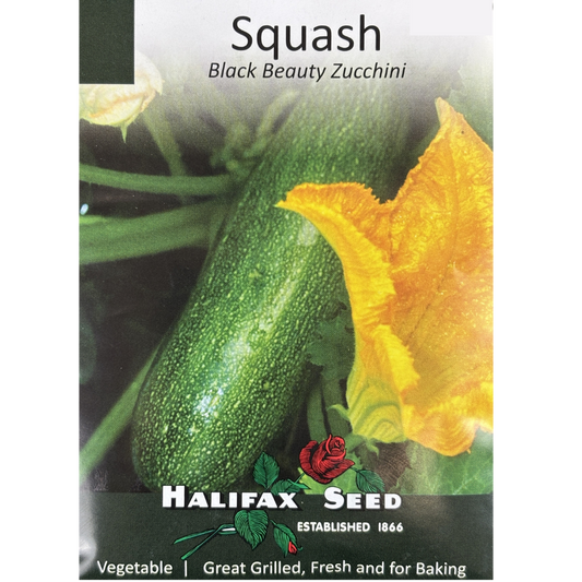 Halifax Seed Squash Black Beauty Zucchini Pkg.