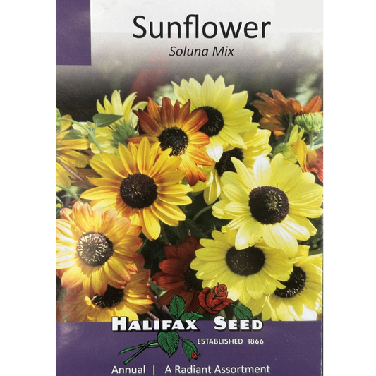 Halifax Seed Sunflower Soluna Mix Pkg.