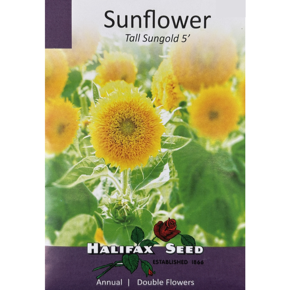 Halifax Seed Sunflower Sungold Tall Pkg.