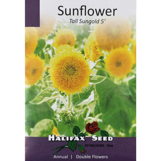 Halifax Seed Sunflower Sungold Tall Pkg.