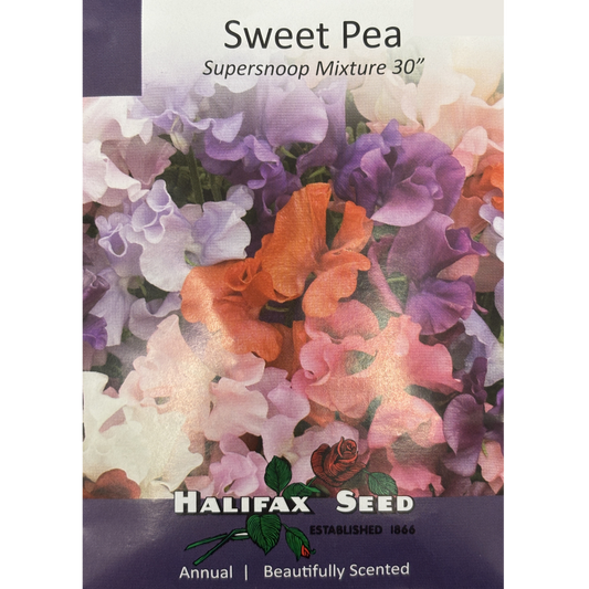 Halifax Seed Sweet Pea Supersnoop Mixture Pkg.