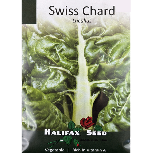 Halifax Seed Swiss Chard Lucullus Pkg.