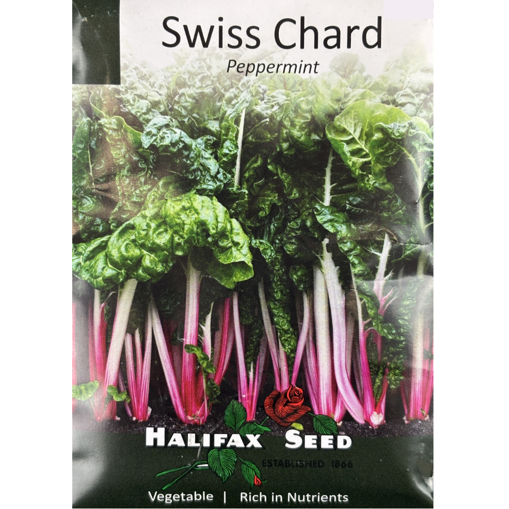 Halifax Seed Swiss Chard Peppermint Pkg.