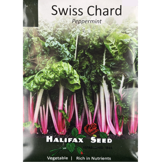 Halifax Seed Swiss Chard Peppermint Pkg.