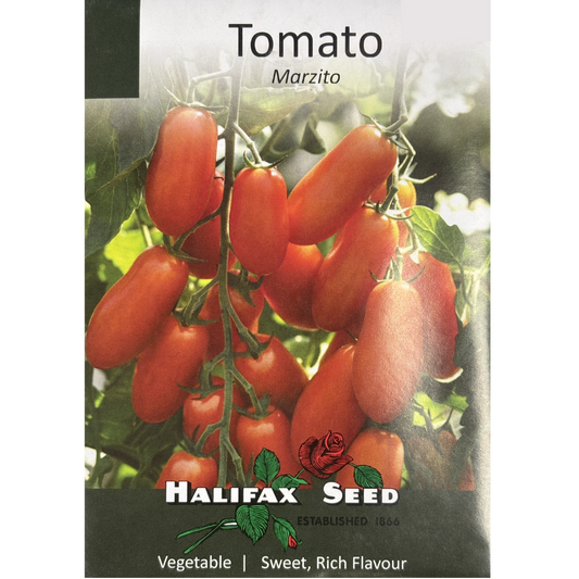 Halifax Seed Tomato Marzito
