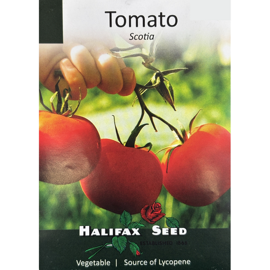 Tomatoes Seeds – Scott's Nursery Ltd.