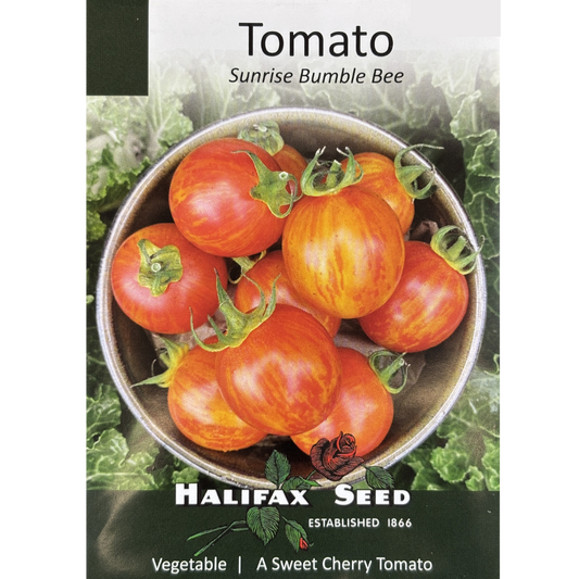Halifax Seed Tomato Sunrise Bumble Bee Pkg.