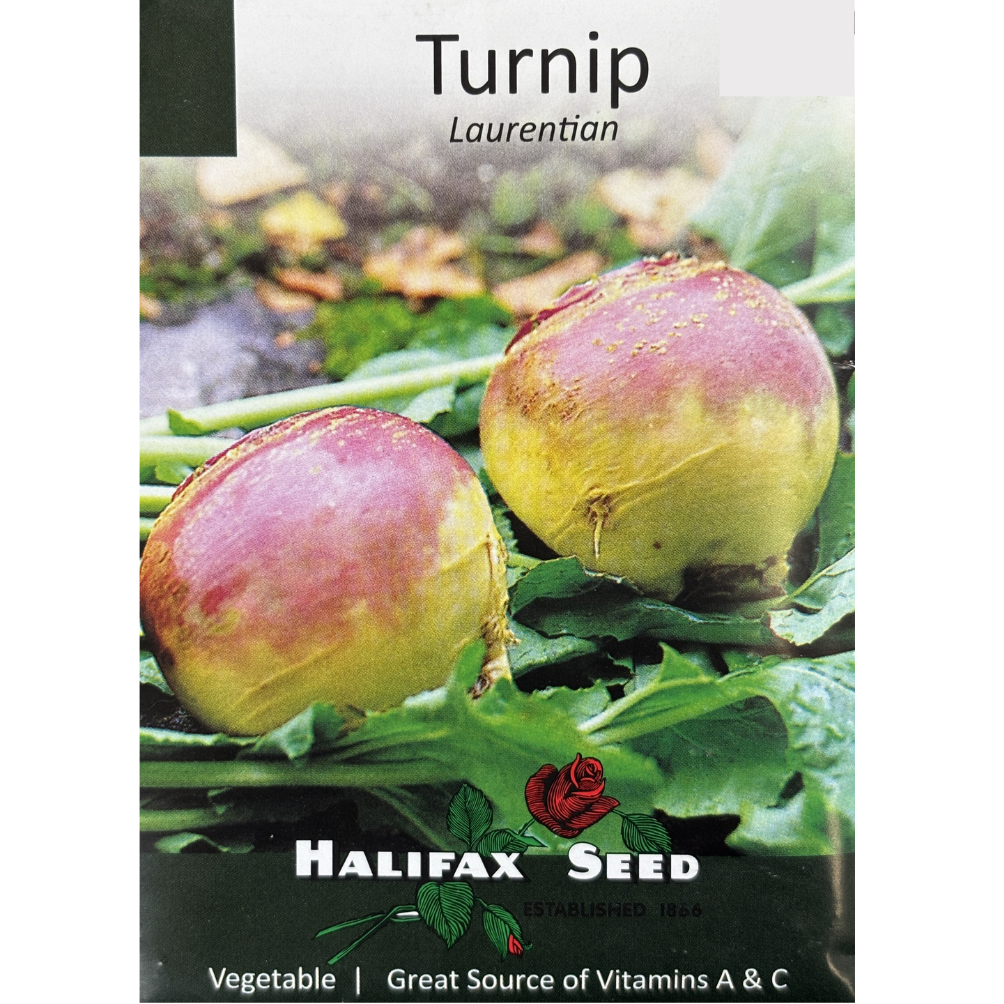 Halifax Seed Turnip Laurentian Pkg.