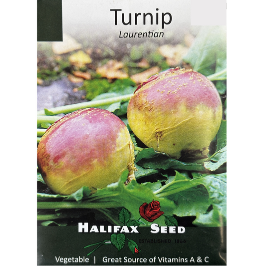 Halifax Seed Turnip Laurentian Pkg.