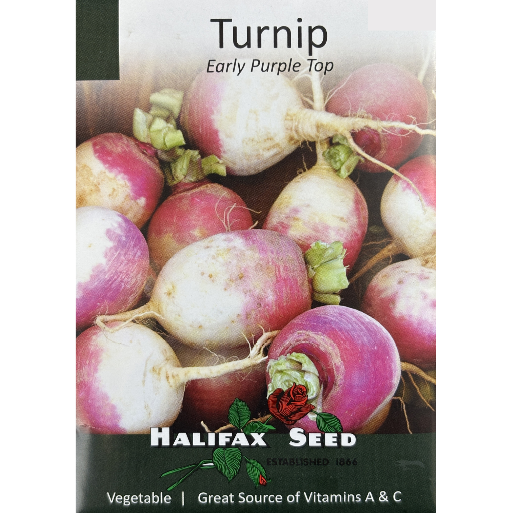 Halifax Seed Turnip Early Purple Top Pkg.