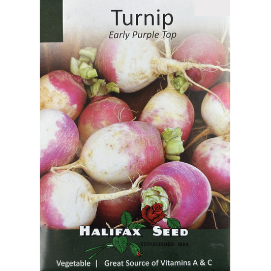Halifax Seed Turnip Early Purple Top Pkg.