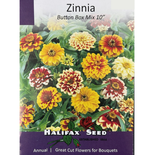 Halifax Seed Zinnia Button Box Pkg.