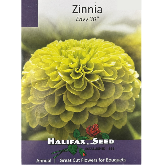 Halifax Seed Zinnia Envy Pkg.