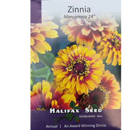 Halifax Seed Zinnia Marcarenia Pkg.