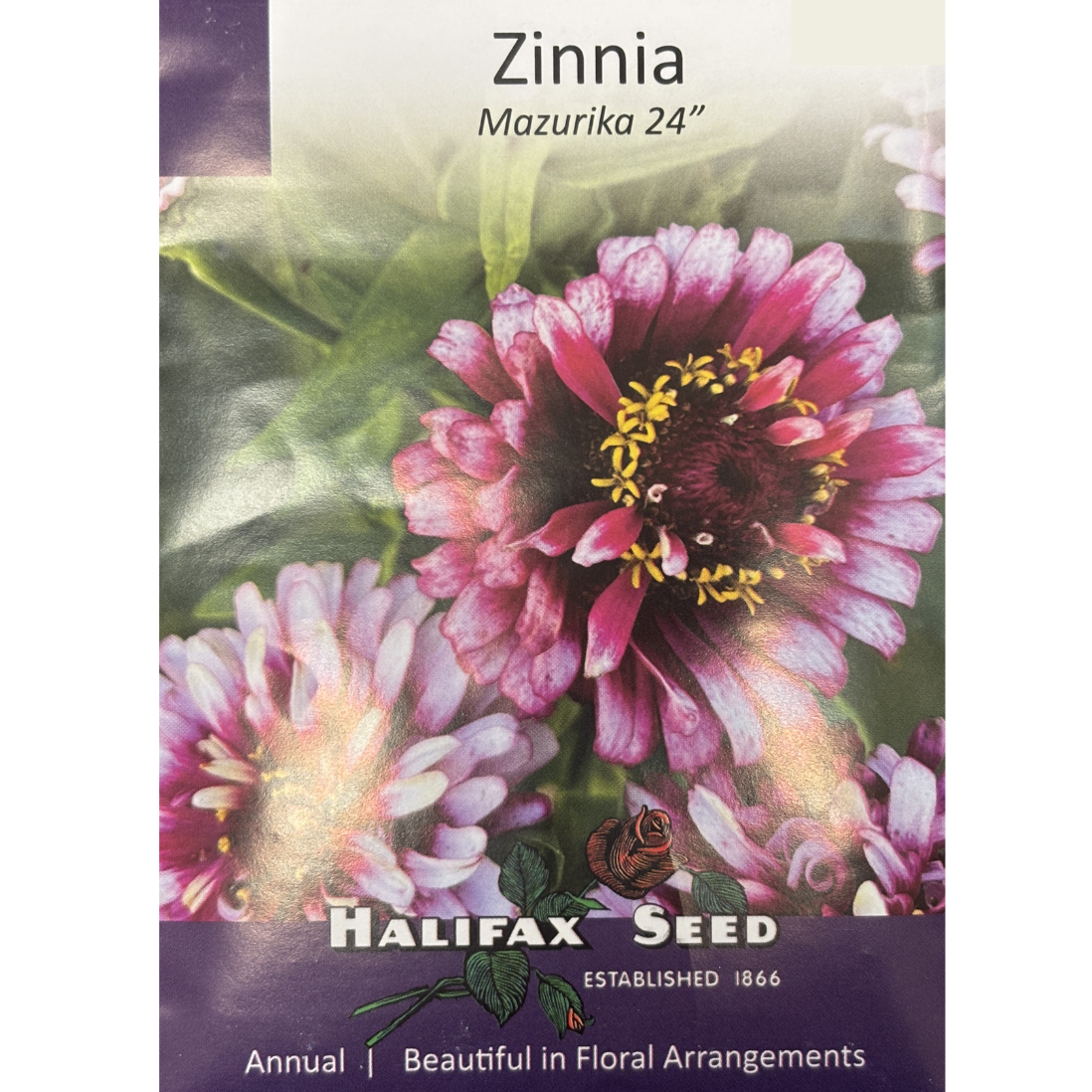 Halifax Seed Zinnia Mazurika Pkg.
