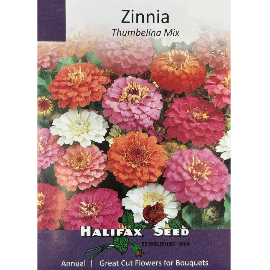 Halifax Seed Zinnia Thumbelina Mix