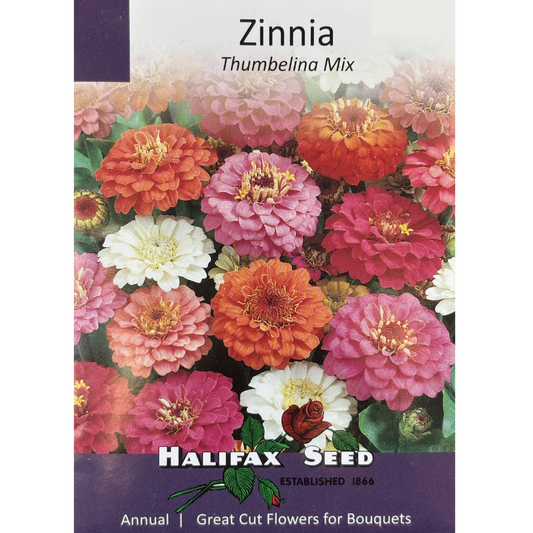 Halifax Seed Zinnia Thumbelina Mix