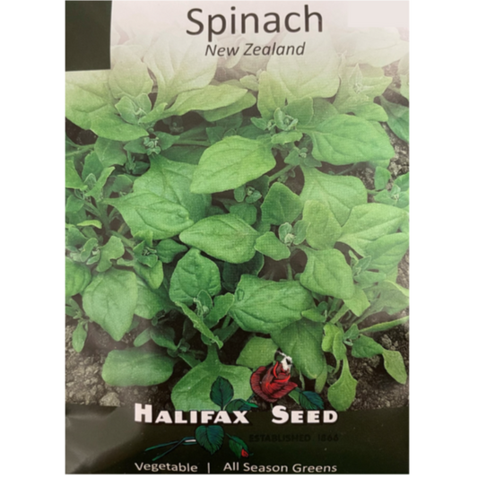 Halifax Seed Spinach New Zealand Pkg.