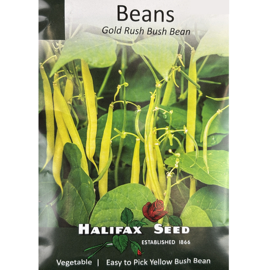 Halifax Seed Bean Gold Rush