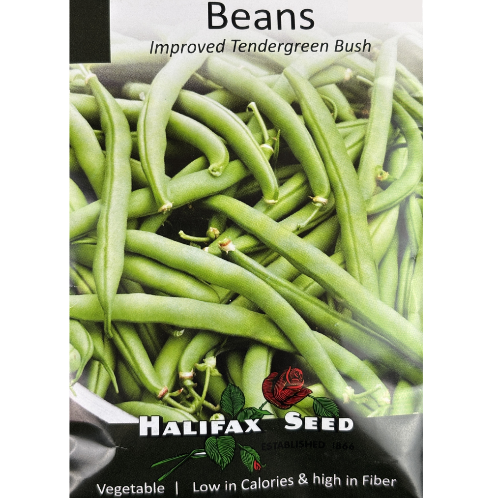 Halifax Seed Bean Improved Tendergreen Bush