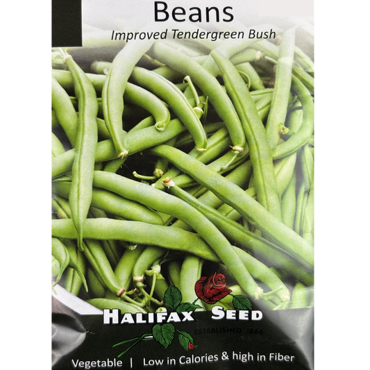 Halifax Seed Bean Improved Tendergreen Bush