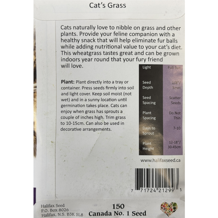 Halifax Seed Cat Grass Pkg.