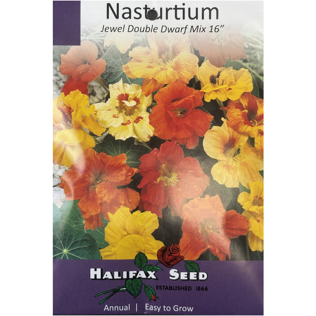 Halifax Seed Nasturtium Jewel Dwarf Mix Pkg.
