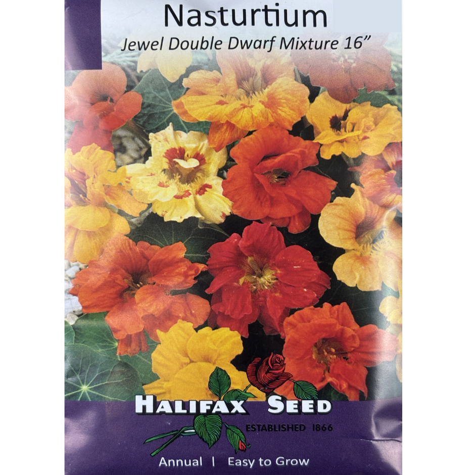 Halifax Seed Nasturtium Jewel Dwarf Mix Pkg.