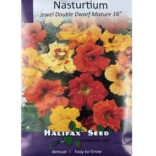 Halifax Seed Nasturtium Jewel Dwarf Mix Pkg.