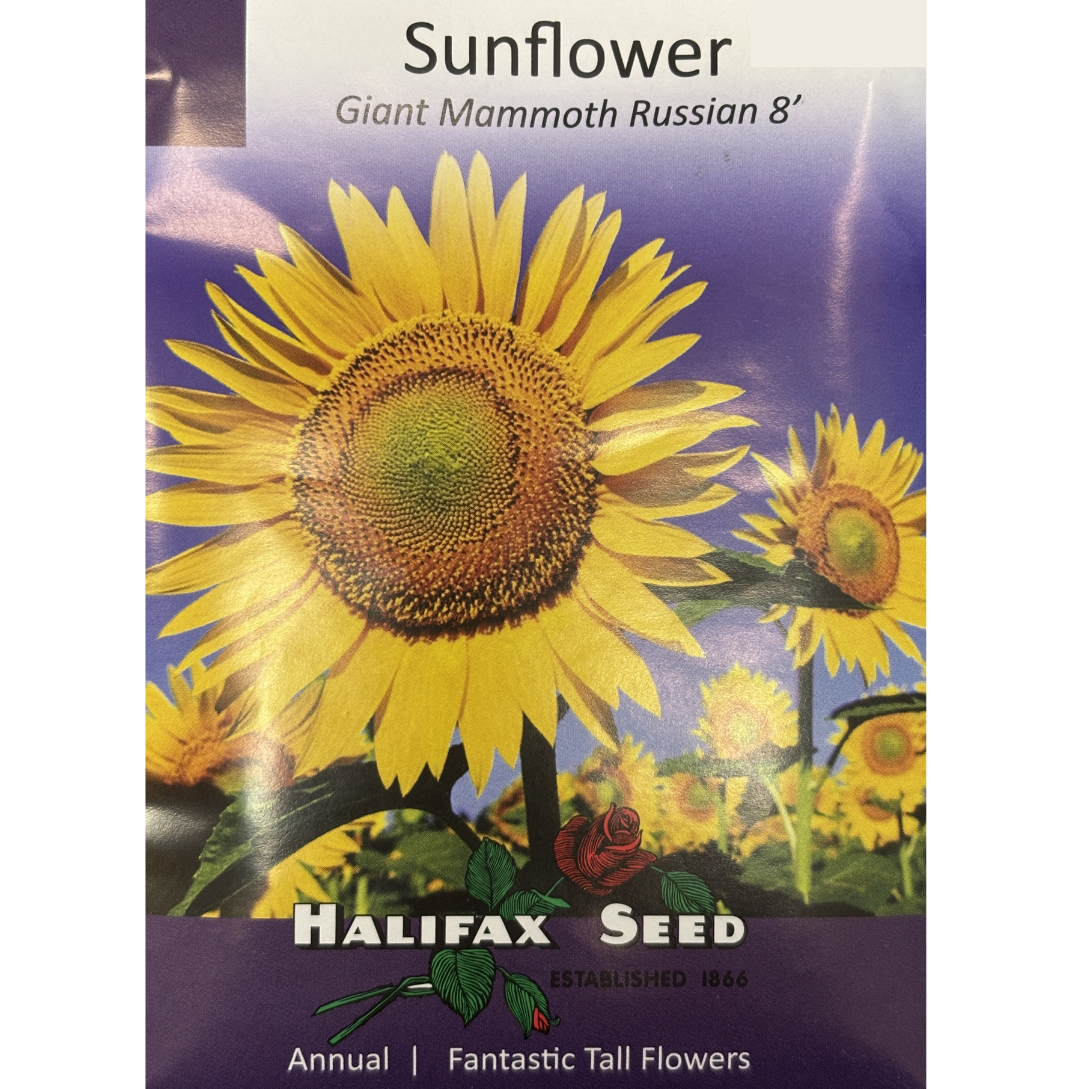 Halifax Seed Sunflower Giant Mammoth Russian Pkg.