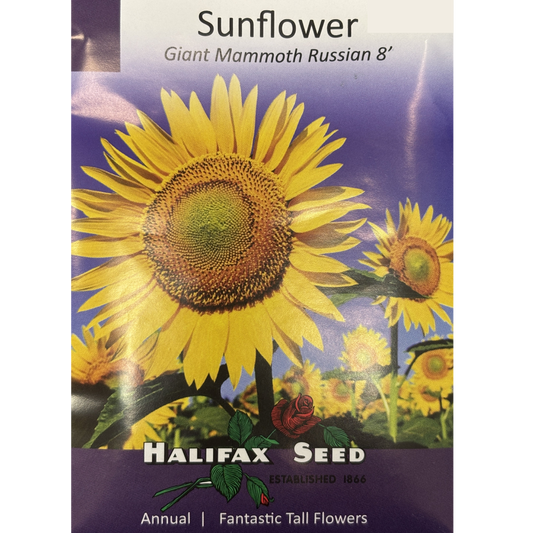 Halifax Seed Sunflower Giant Mammoth Russian Pkg.