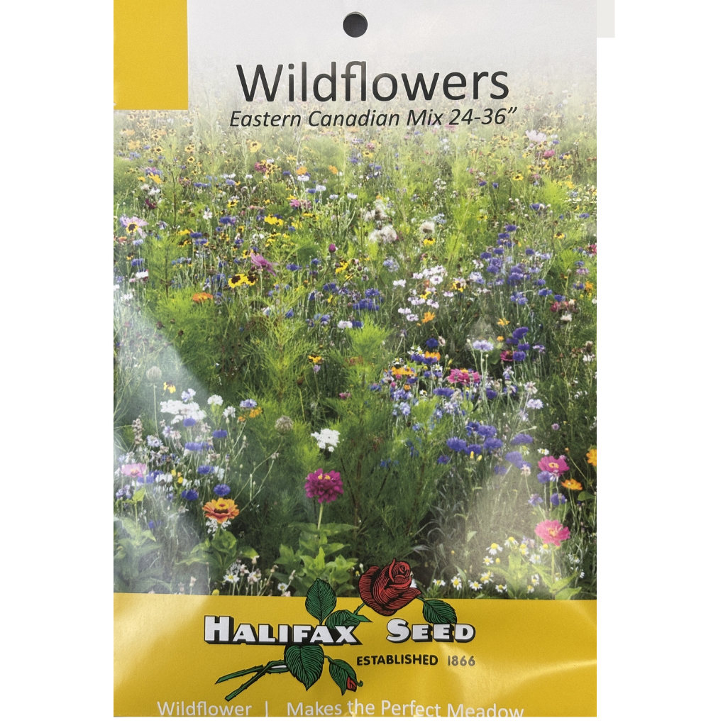 Halifax Seed Wildflowers Eastern Canadian Mix Pkg.