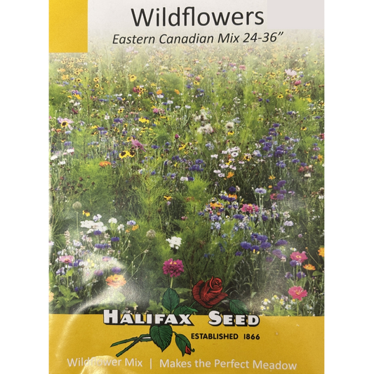 Halifax Seed Wildflowers Eastern Canadian Mix Pkg.