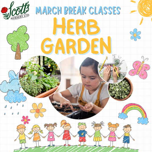 Herb Garden