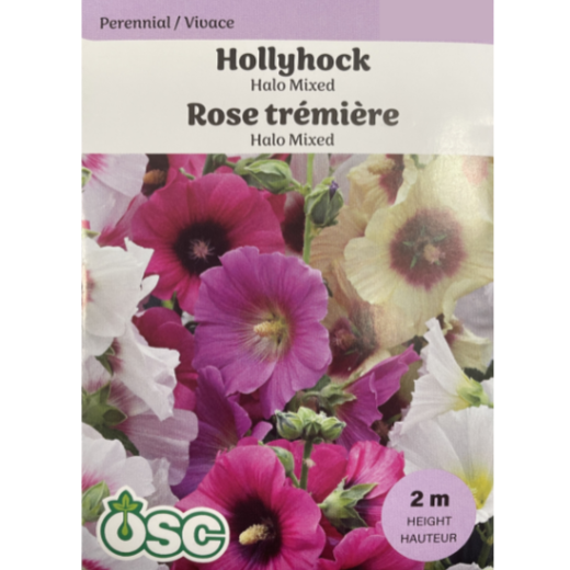 OSC Seeds Hollyhock Halo Mixed Pkg.