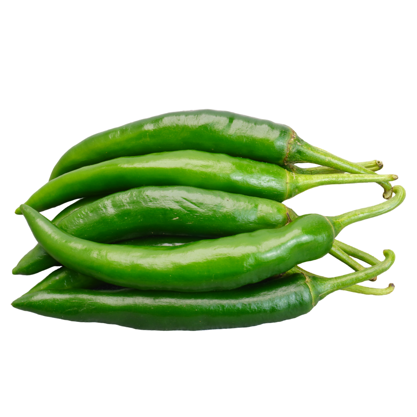 Pepper Chili 'Garden Salsa'