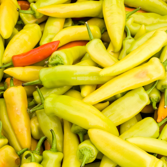 Pepper Hot 'Hungarian Wax'