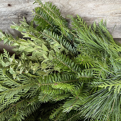 Fresh Garland "B" Fir/Pine/BC Cedar & Oregonia 10' Length