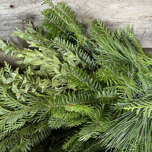 Fresh Garland "B" Fir/Pine/BC Cedar & Oregonia 10' Length
