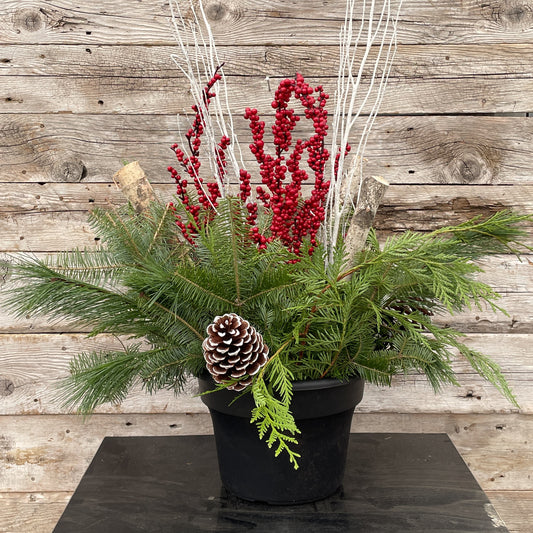 Fresh Christmas Planter 10" Pot