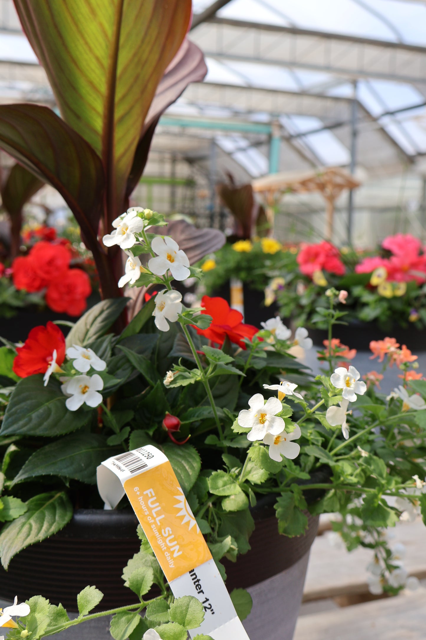 Spring Planters